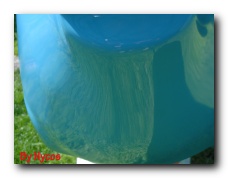Click to enlarge Zebulon TWO 0051.jpg